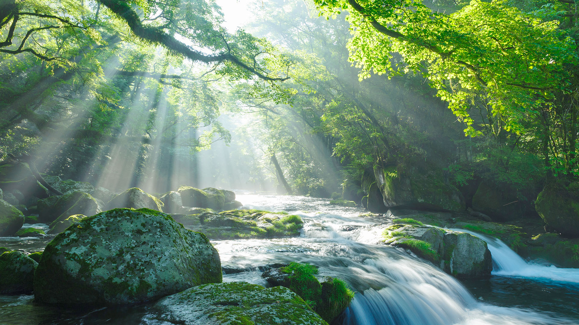 相和プラント メインビジュアル