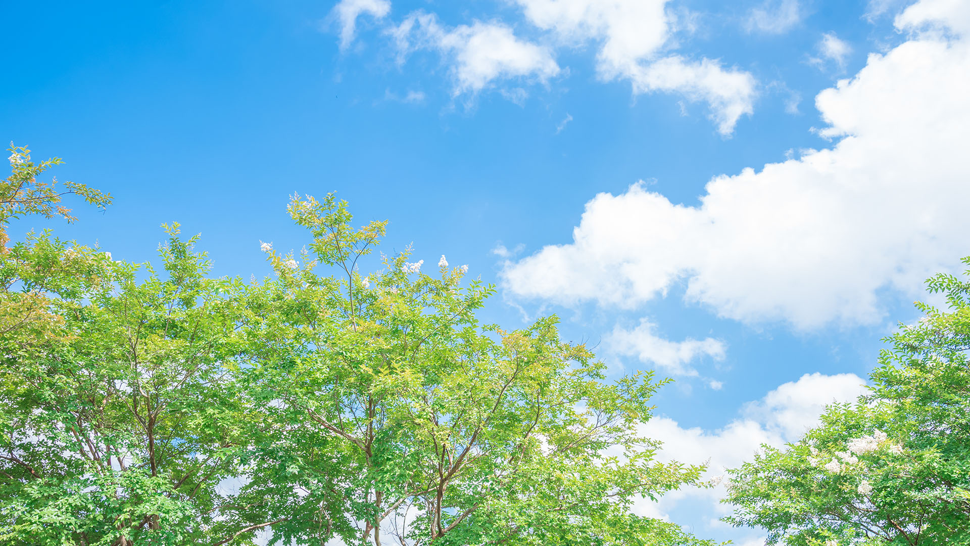 相和プラント メインビジュアル